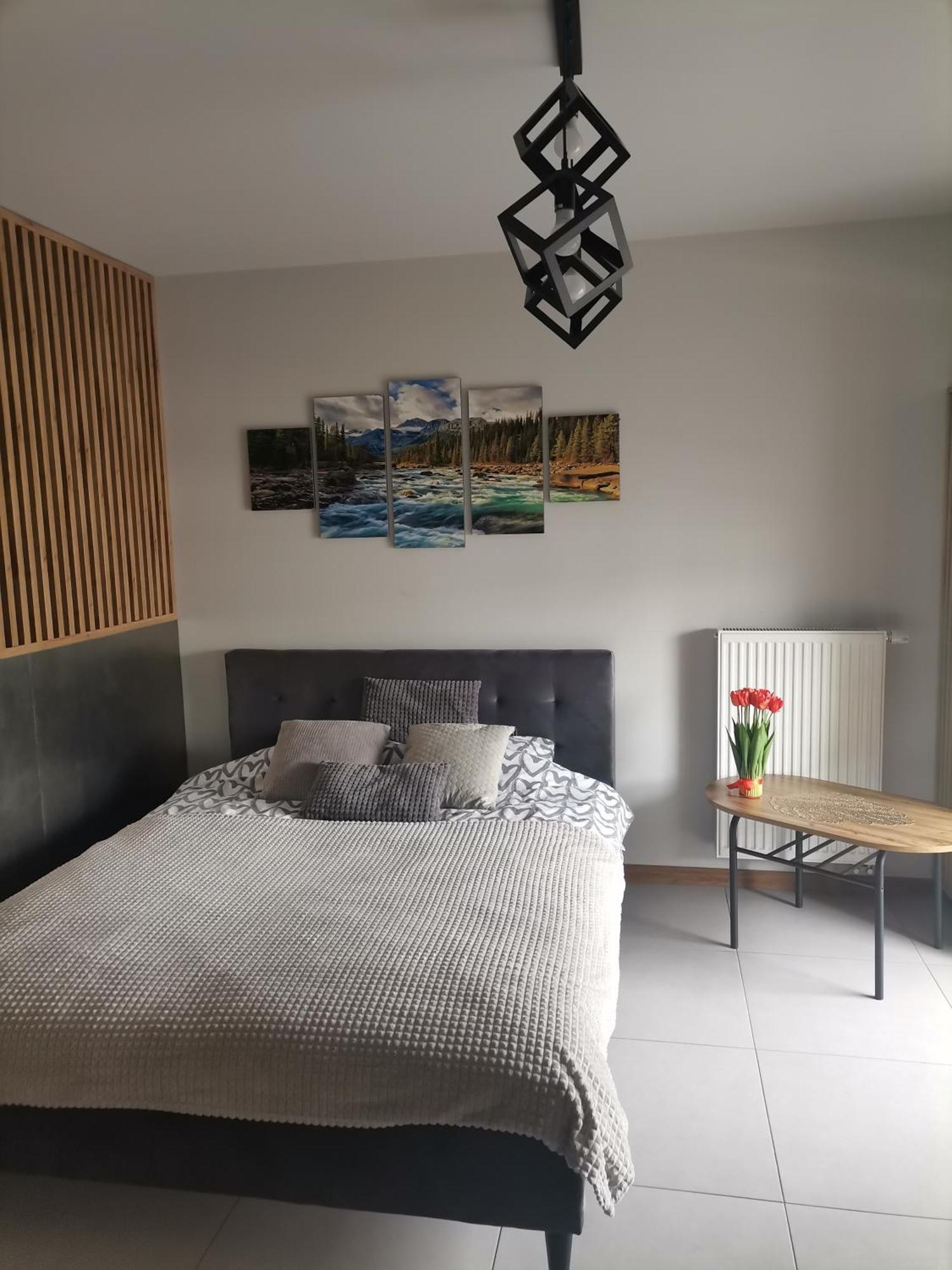 Apartament Gorska Szarotka Новы-Тарг Экстерьер фото