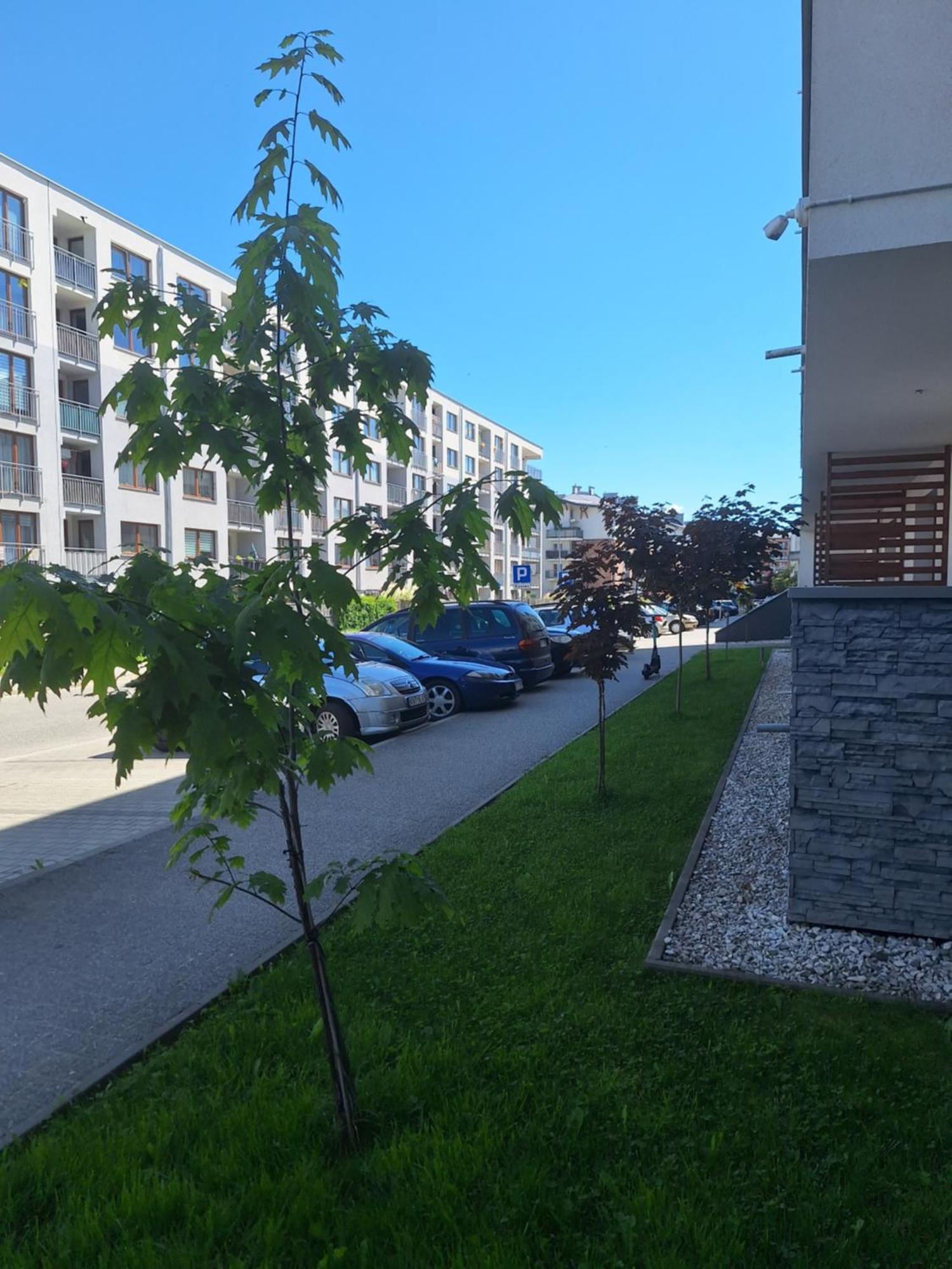 Apartament Gorska Szarotka Новы-Тарг Экстерьер фото